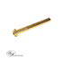 Airsoft Masterpiece Steel Guide Rod for Hi-CAPA 4.3 (3 color)